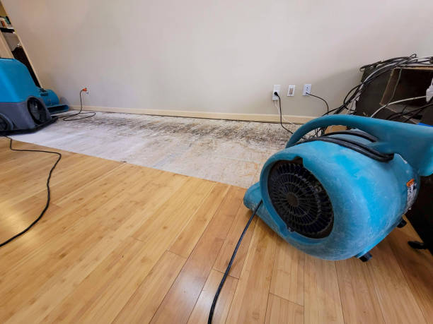 Reliable Basement Flood Cleanup contractor in Kaufman, TX by Hirex Water Damage