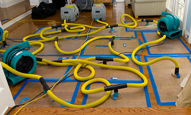Professional Basement Flood Cleanup technician working in Kaufman, TX